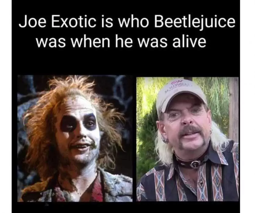 Joe Exotic Memes  Joe Exotic Looks Just Like Bettlejuice