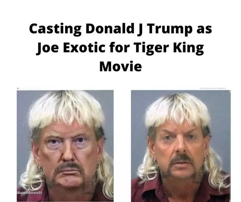 Joe Exotic Memes  Donald Trump To Play Joe Exotic?
