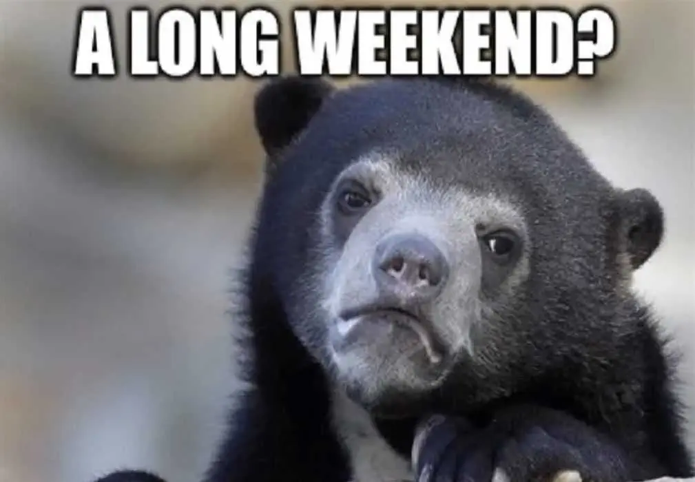 Easter Long Weekend Quarantine Meme  A Long Weekend Meme You Don'T Expect