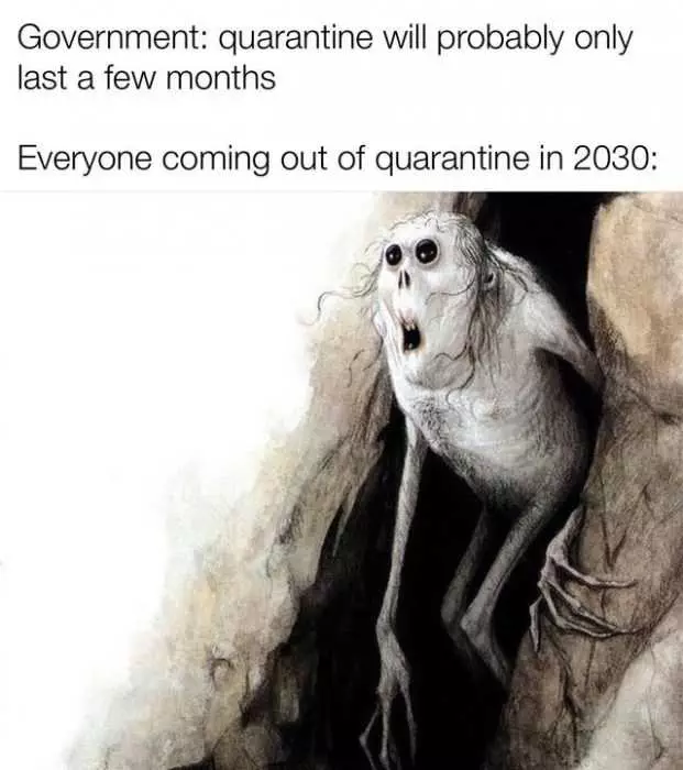 Funny Quarantine Memes  Quarantine Longer Than Thought