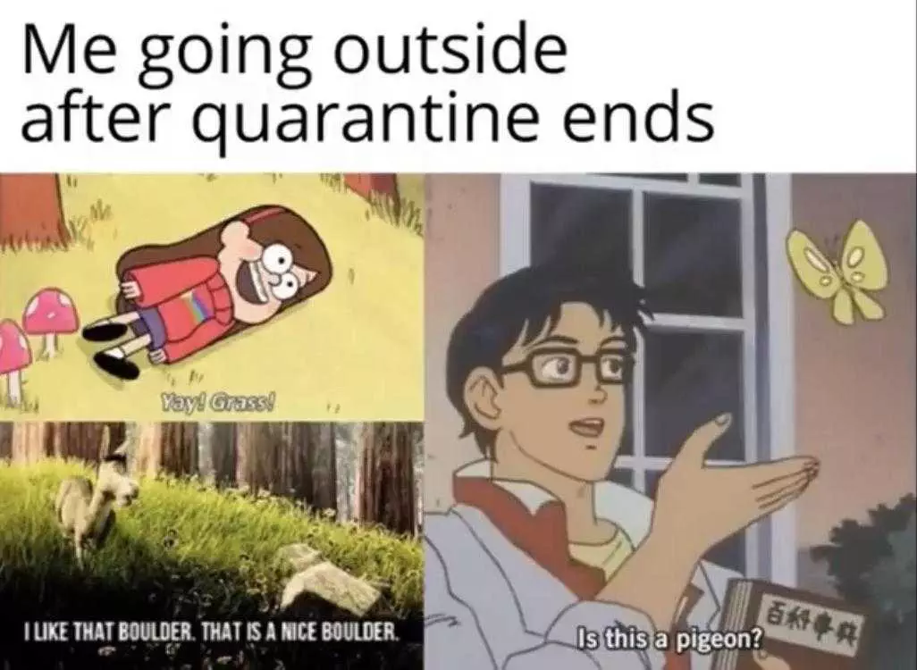 Funny Quarantine Memes  Haven'T Seen Outside