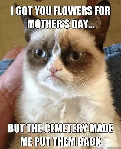 Mothers Day Memes  Mom Meme About A Grumpy Cat Saying She Got Mom Flowers From The Cemetary
