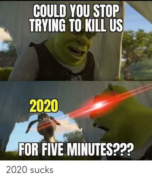 2020-Kill-Us 2020 Memes 2020 Meme Depicting Shrek Asking 2020 To Stopp Killing Us
