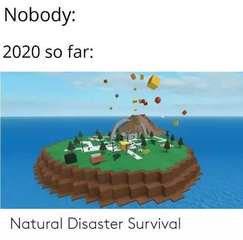 2020 Memes  2020 Meme Depicting Natural Disaster Survival