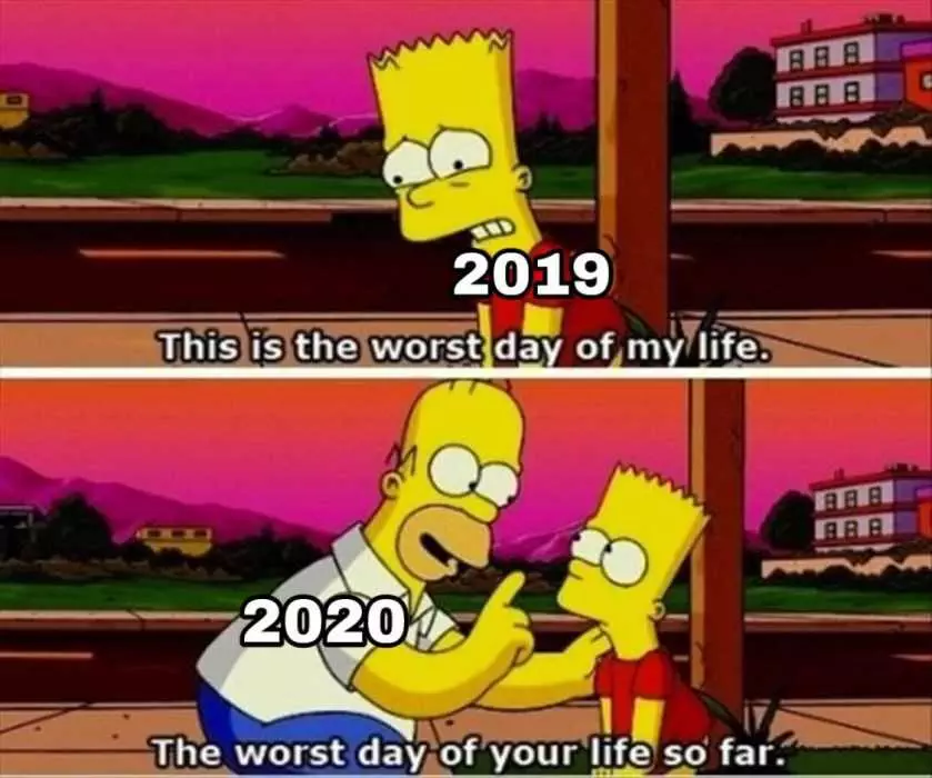 2020 Memes  2020 Meme Depicting Homer Correcting Bart
