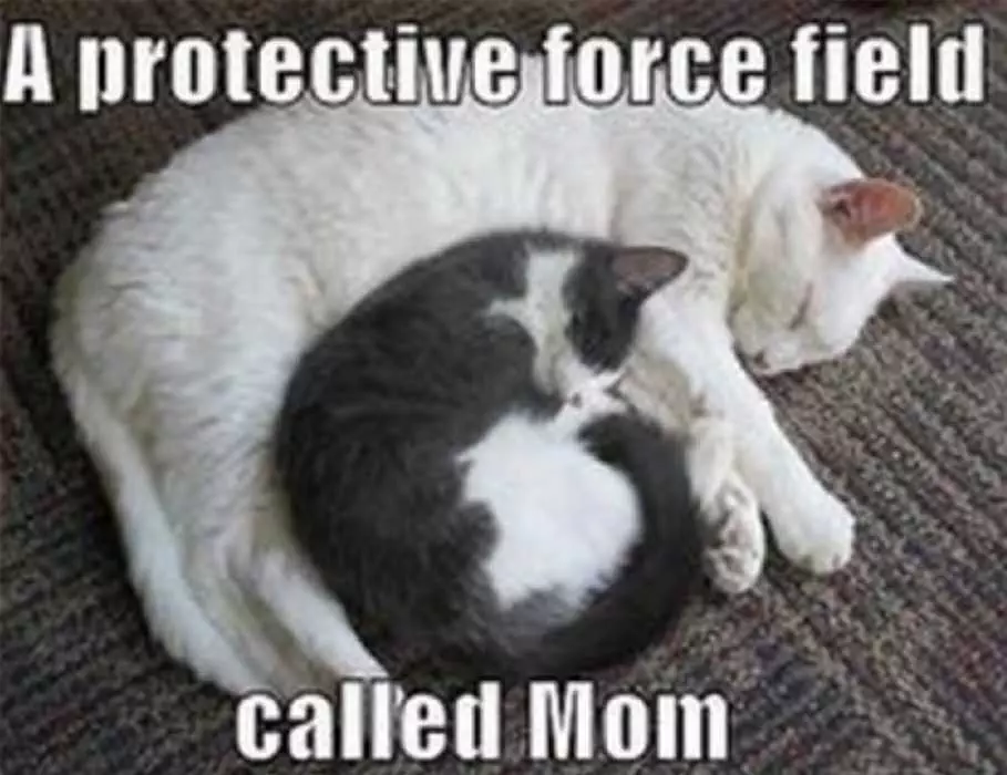 Mothers Day Memes  Mom Meme About How Mom Is A Protective Shield