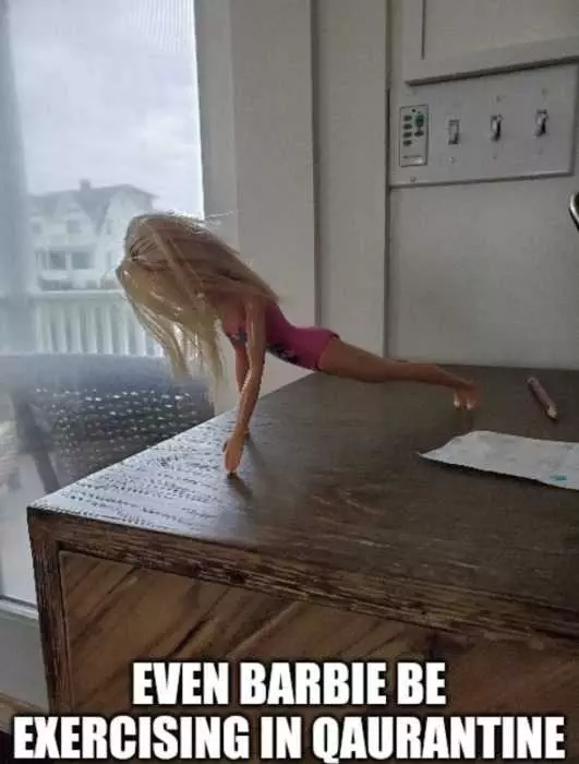 Barbie Home Fitness Meme