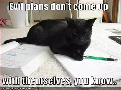 Cat Evil Plans This