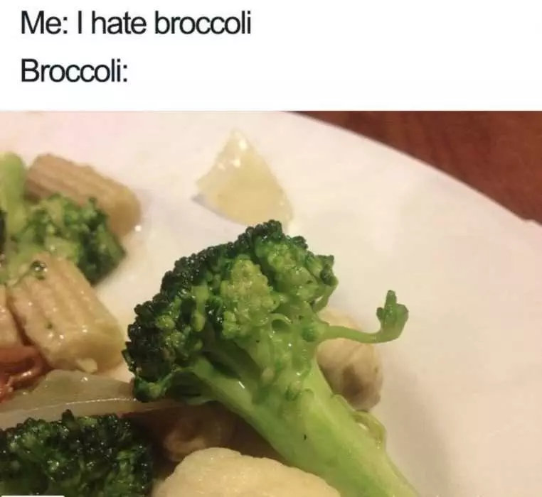 Meme Featuring A Picture Of Brocoli Flipping The Bird With The Caption I Hate Brocoli