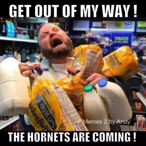 Meme Featuring A Man Hoarding Groceries Due To Murder Hornets