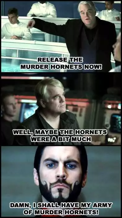Meme Featuring A Villain Pondering If Murder Hornets Were A Bit Much