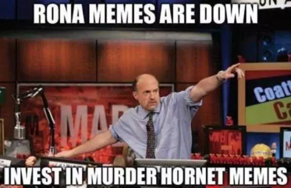 Meme Featuring Jim Cramer Saying Rona Memes Are Down So Invest In Murder Hornet Memes