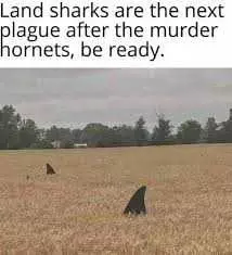 Hornet-Land-Sharks Meme Featuring Land Sharks As The Next Plague After Murder Hornets