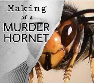 Meme Featuring A Documentary Called Making Of A Murder Hornet