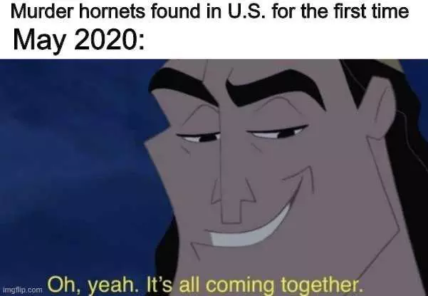 Hornet-Oh-Yeah Meme Featuring A Cartoon Villain Saying It's All Coming Together When News Of Murder Hornets In Us Found.