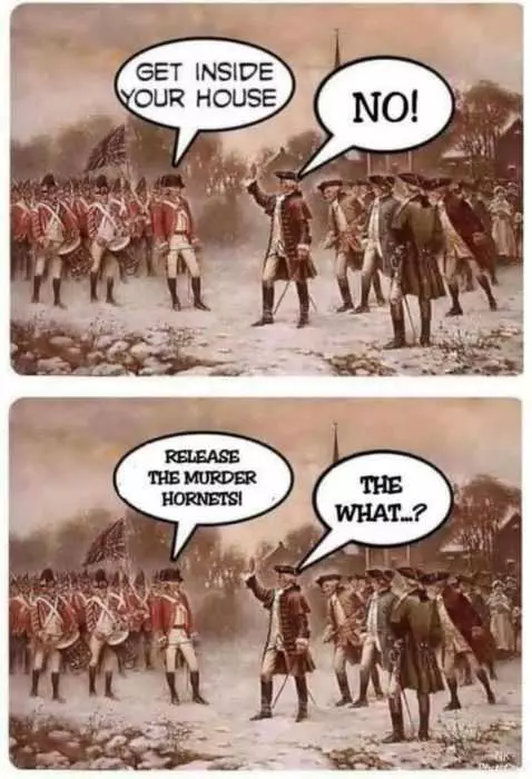 Meme Featuring English Releasing Murder Hornets To Quell The American Uprising When They Refused To Obey Stay At Home Orders