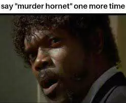 Meme Featuring Samuel L Jackson Asking Someone To Say Murder Hornet One More Time