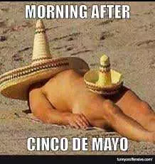 Cinco De Mayo Memes  Cinco De Mayo Meme Showing What Happens The Morning After