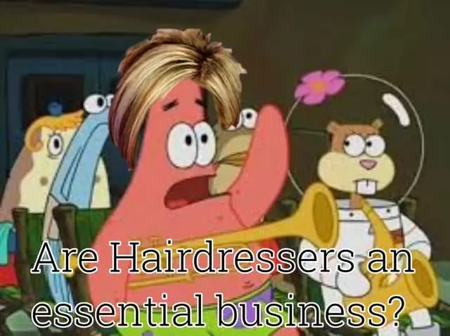 Karen Coronavirus Memes  Karen Needs Hairdressers
