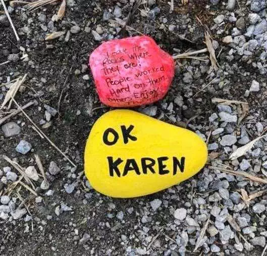 Karen Coronavirus Memes  Karen Being Sanctimonious About Rocks