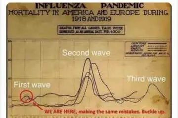 Meme Comparing Spanish Flu To Current Outbreak