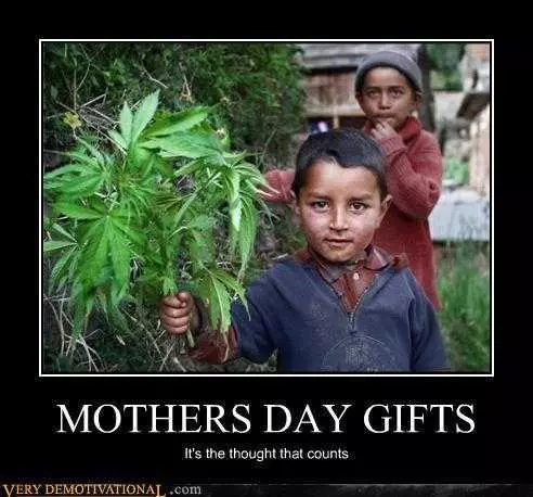 Mothers-Day-Gift-Cannabis-Flowers-Meme Mothers Day Memes Mom Meme About How A Child Gives Mom Weed For Mother's Day