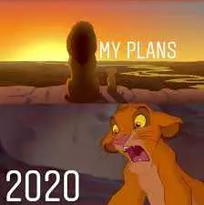 Plans 2020 Lion King