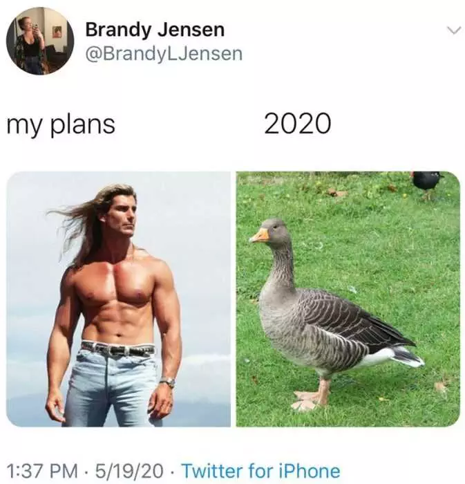 Plans Goose Fabio