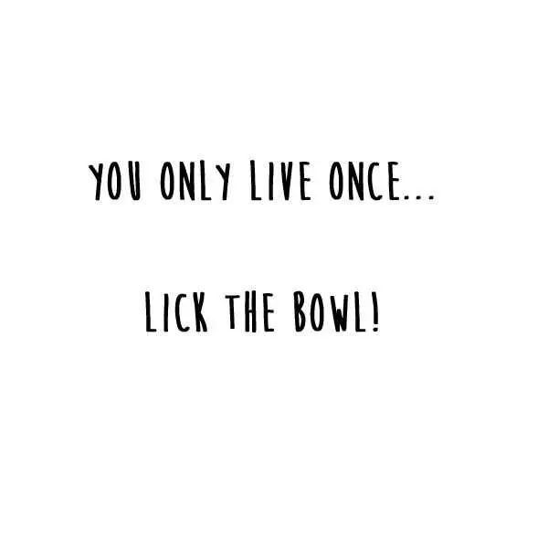 You Only Live Once Quote  Lick The Bowl