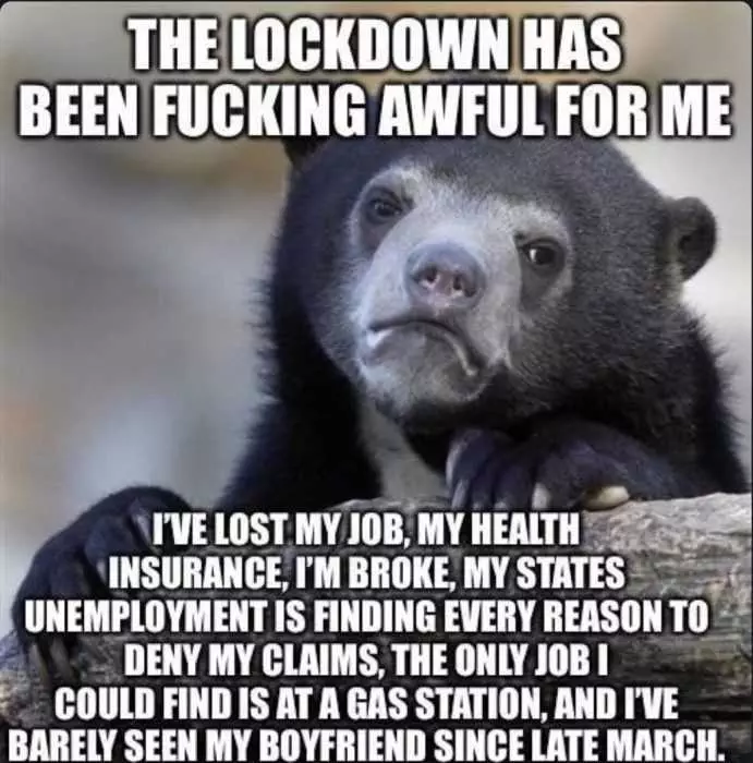 Unemployment Memes  Sad Bear Meme