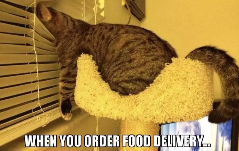 Meme Of What People Do After Ordering Delivery