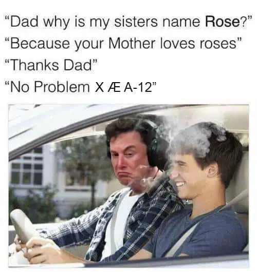 Xe No Problem Rose