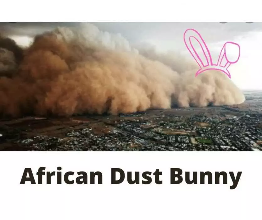 African Dust Bunny Dust Storm Meme