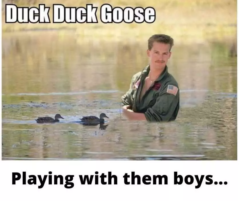Meme Of Goose Playing With Them Boys