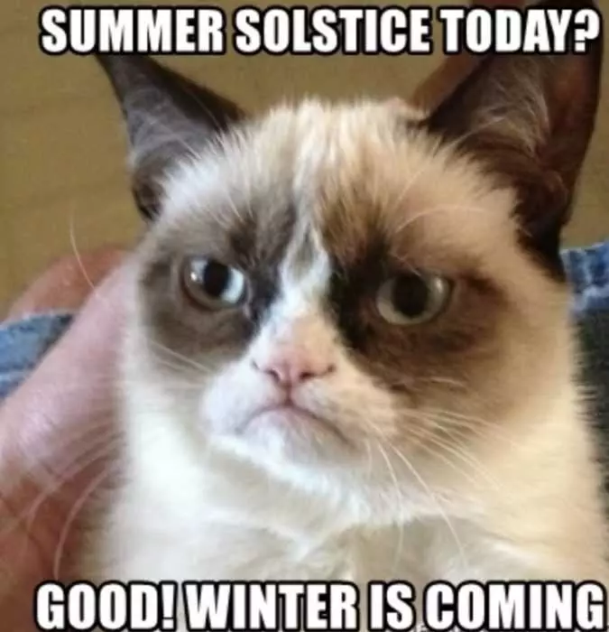 Screen-Shot-2020-06-20-At-10.07.23-Pm Grumpy Cat Summer Solstice Meme