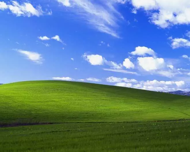 Microsoft Windows Zoom Background