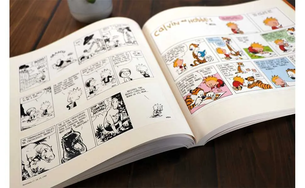 Calvin Hobbes Book Set Fathers Day Gift