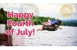 Happy 4Th Of July Meme Featuring A Dog In A Stars And Stripes Cape