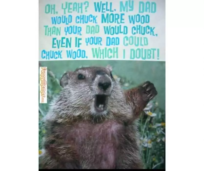 Funny Beaver Fathers Day Meme