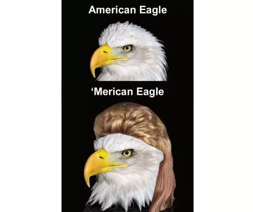 Karen-Eagle-Meme American Eagle Vs 'Merican Eagle With Karen Hair
