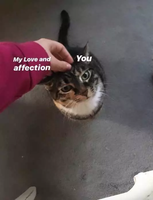 Mem My Love Affection