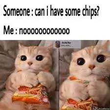 Meme Chips