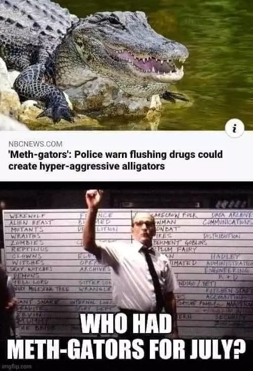 Meme Meth Gators