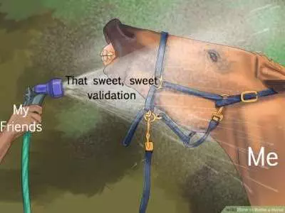Meme Sweet Validation