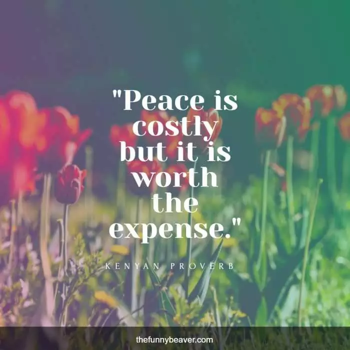 Peace Proverb Worth It