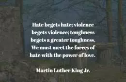 Quote Mlk Hate Begets