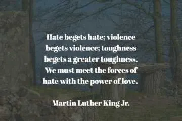 Quote Mlk Hate Begets