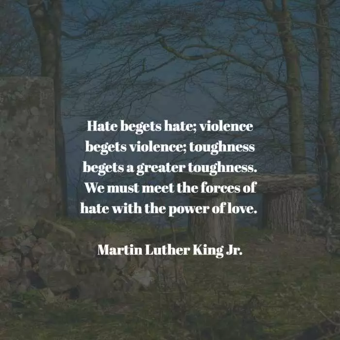 Quote Mlk Hate Begets