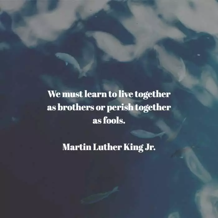 Quote Mlk Learn Together