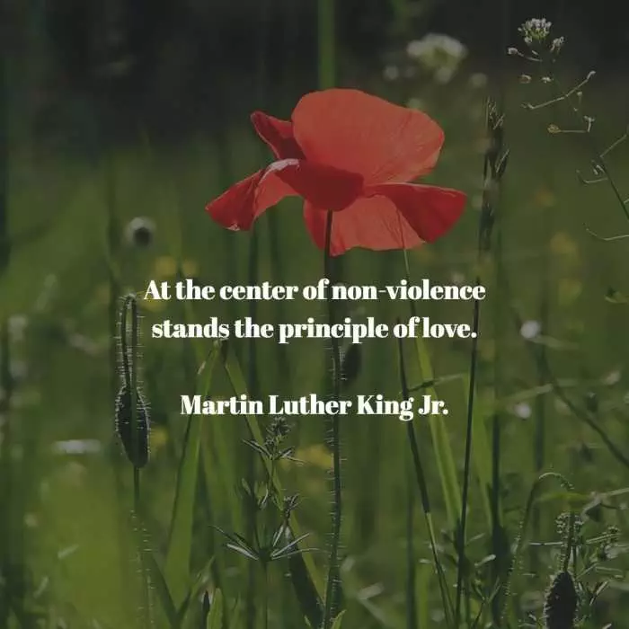 Quote-Mlk-Non-Violence Quote Mlk Non Violence